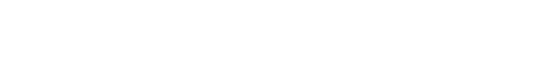 AION V Logo